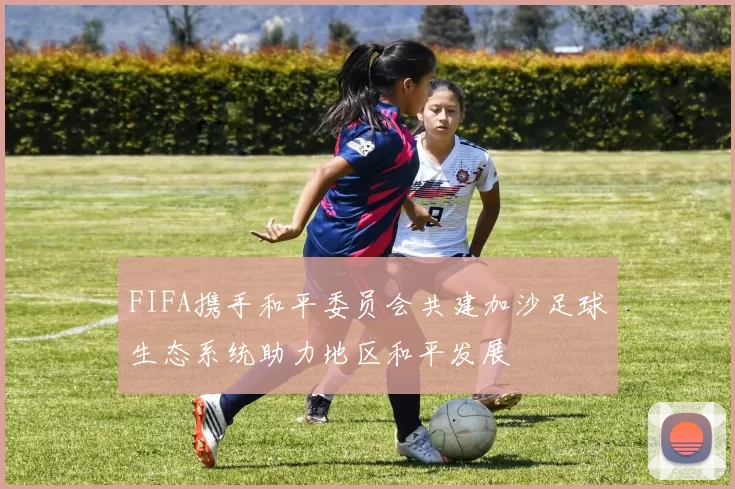 FIFA携手和平委员会共建加沙足球生态系统助力地区和平发展