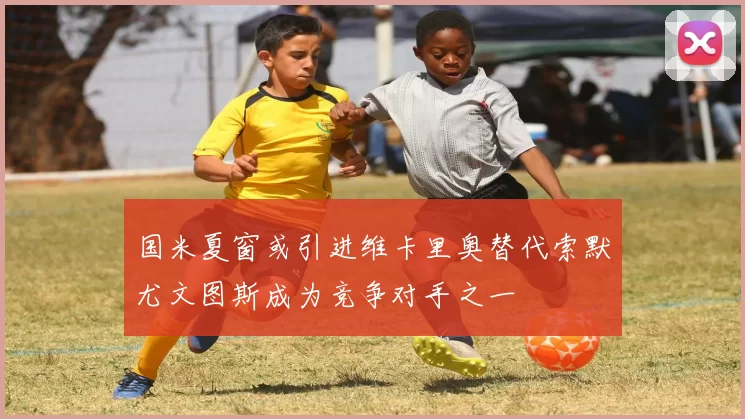 国米夏窗或引进维卡里奥替代索默尤文图斯成为竞争对手之一