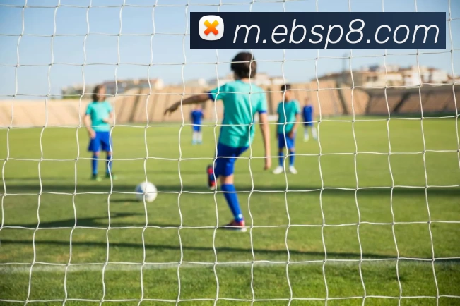 易倍体育平台生态图