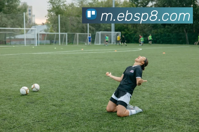 易倍体育APP 封面图